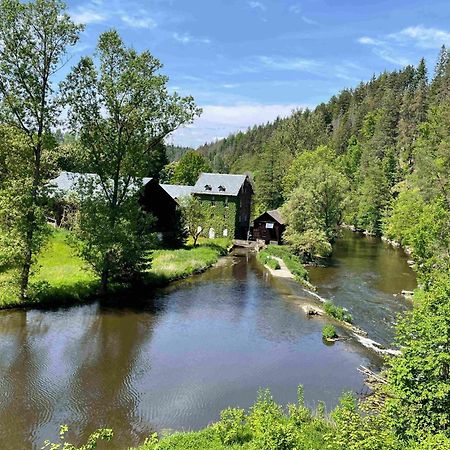 Chalet-Ferienwohnung Schlossblick, 51 Qm, Wellness/Fitness/Sauna - Bergroedelhof Feilitzsch Экстерьер фото